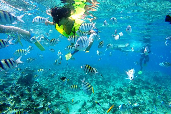 sosua snorkeling